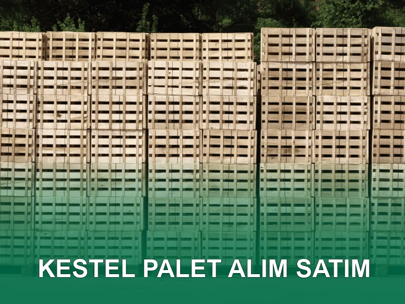 Kestel Palet Galeri 3